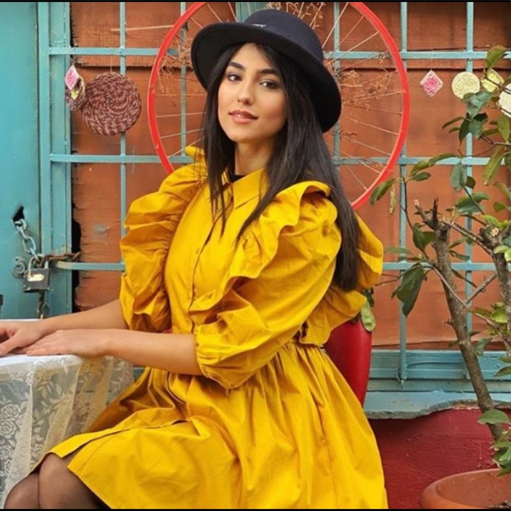 Zara dress